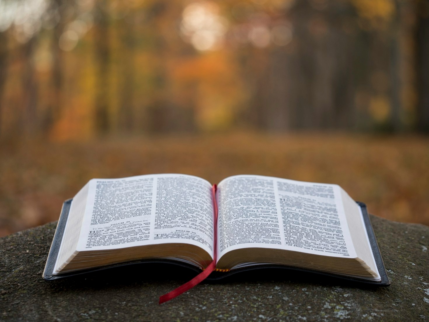 Top Bible Verses for Business Leaders